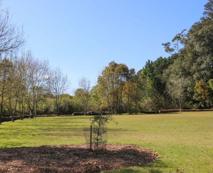 DA - Gallery - Gallery Block Template