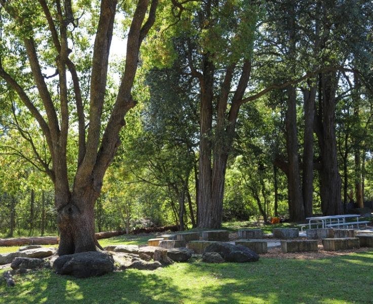 DA - Gallery - Gallery Block Template (4)